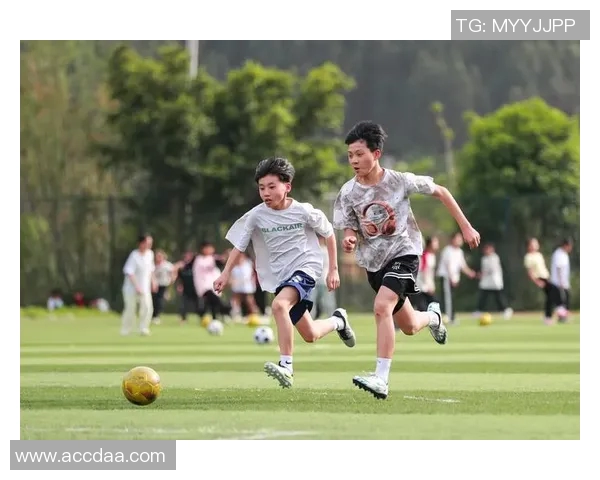 足球之乡的魅力探秘你知道世界各地的足球文化吗